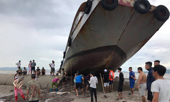 67381409_443470116493754_2794142273502183424_n