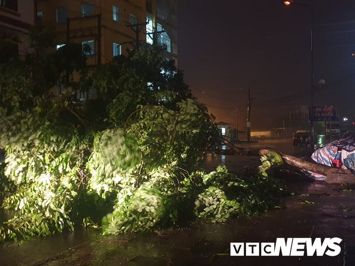 mua bao quang ninh 10 12