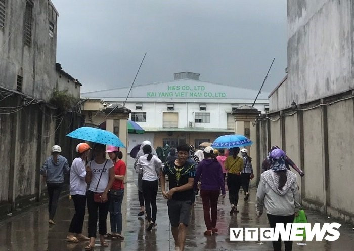 Cong ty KaiYang Viet Nam