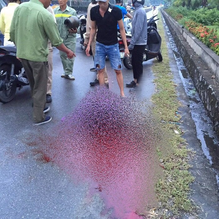 giet nguoi quang ninh