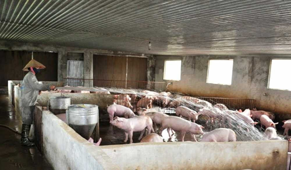 lap-dieu-hoa-cho-lon