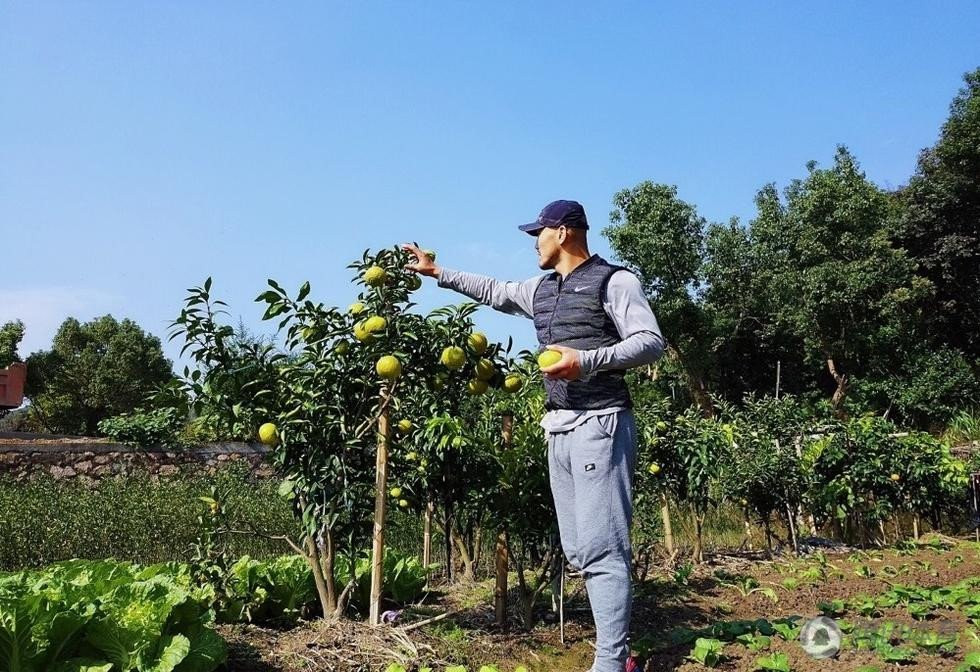 478E78CB00000578-5210091-image-a-1_1514119459806 3