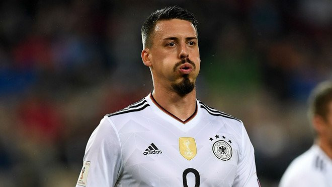 sandro wagner (2)