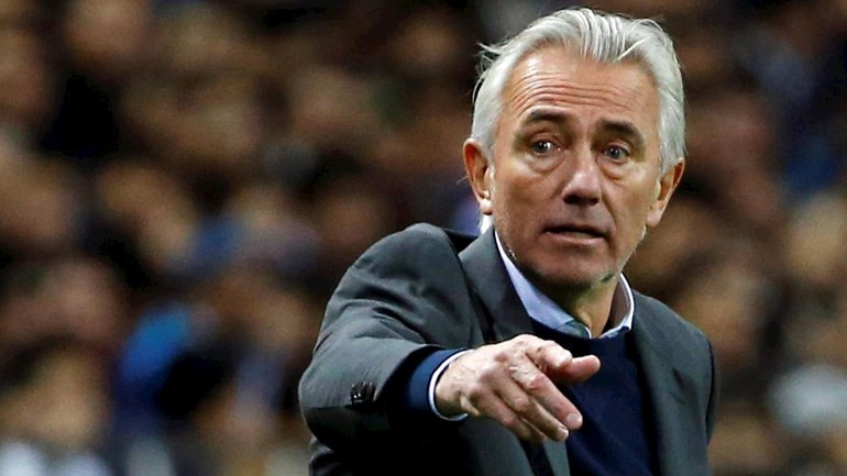bert van marwijk