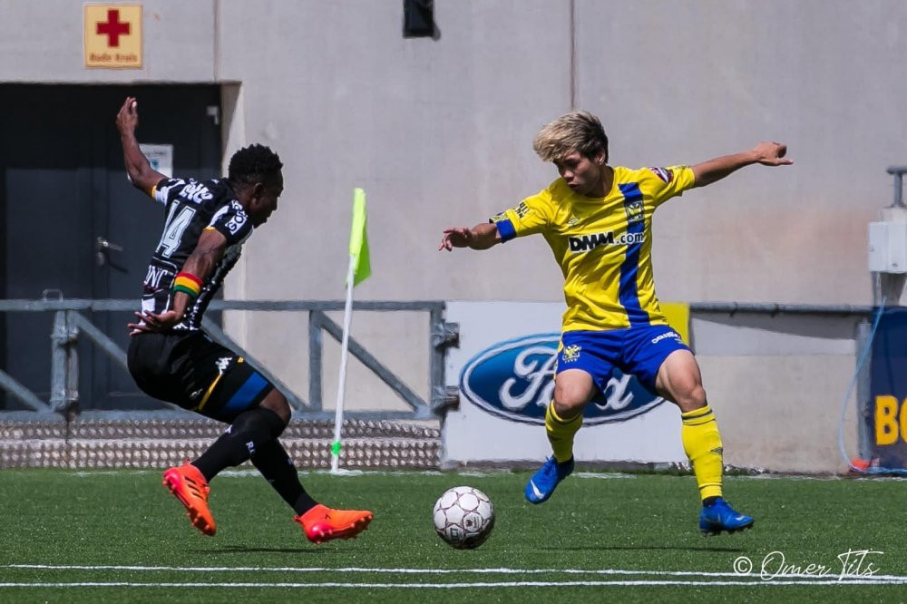 cong phuong sint truidense (2)