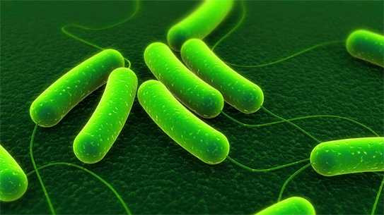 ql8unqvj2ybadwwlx93s-uon-van