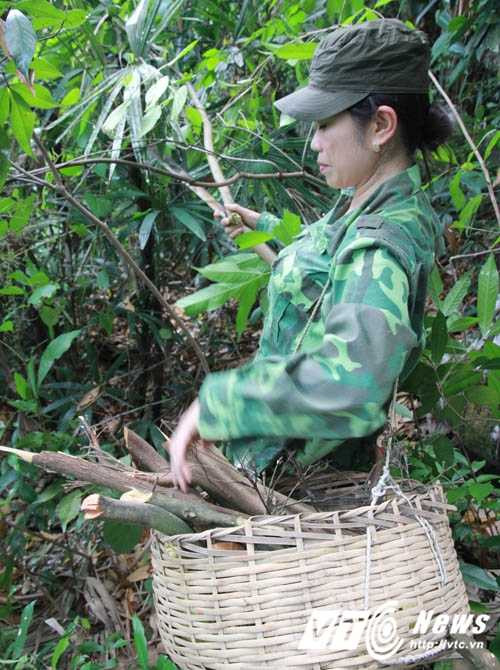 Hoang-Tuyet-Minh (3)