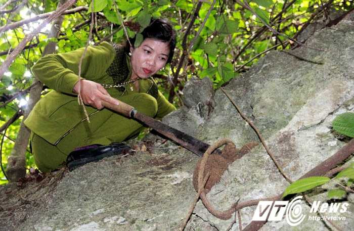 Hoang-Tuyet-Minh (5)