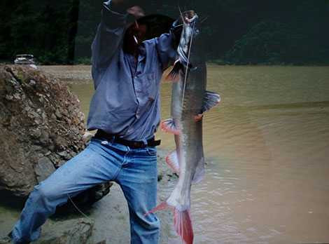 b733da42-d7e3-4f8b-bfe6-9bd1bc1267d9