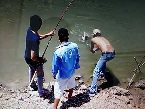 d4855bd7-93de-474a-b4bd-3d841f228e8d