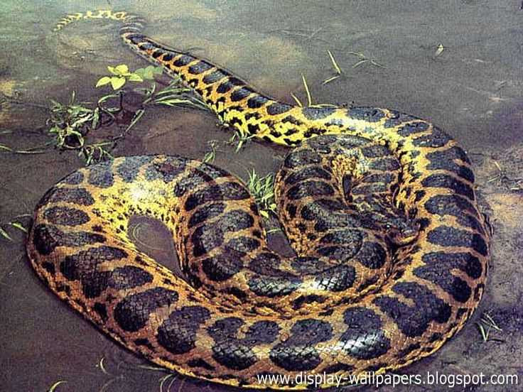 bc0a650e90a8dc61a846c4e8989d6dbd