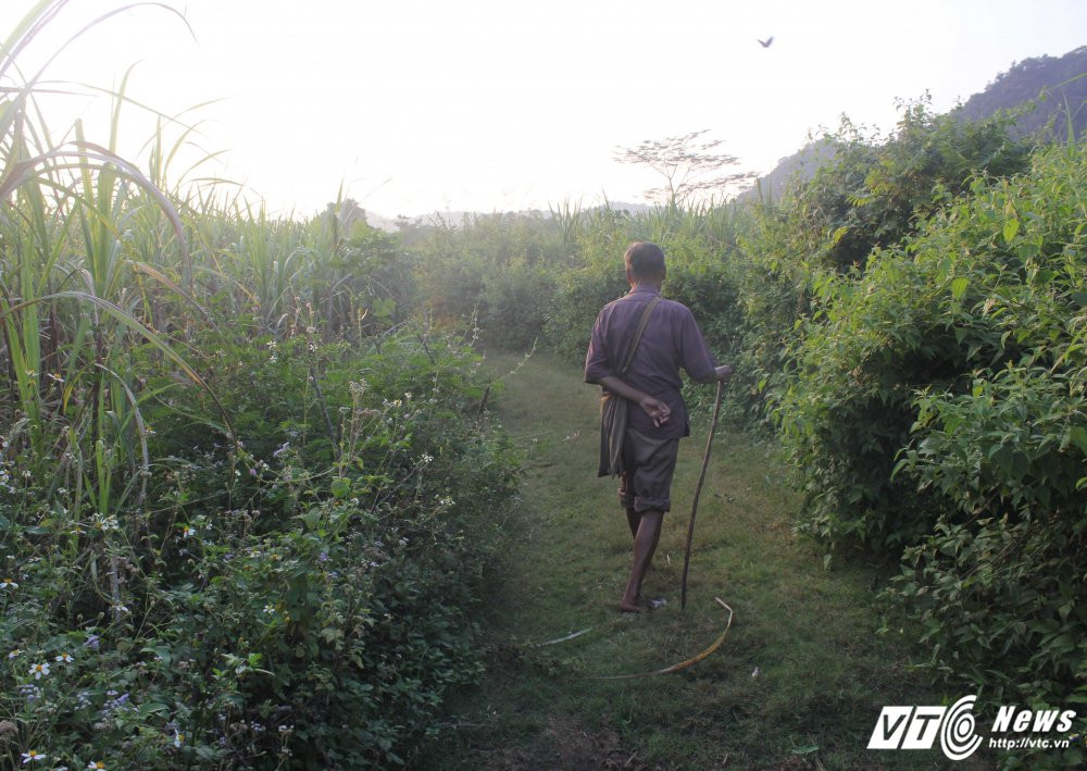 Hinh anh Tho san bien thanh hon ma vat vuong trong rung vi ho tra thu tan khoc 4