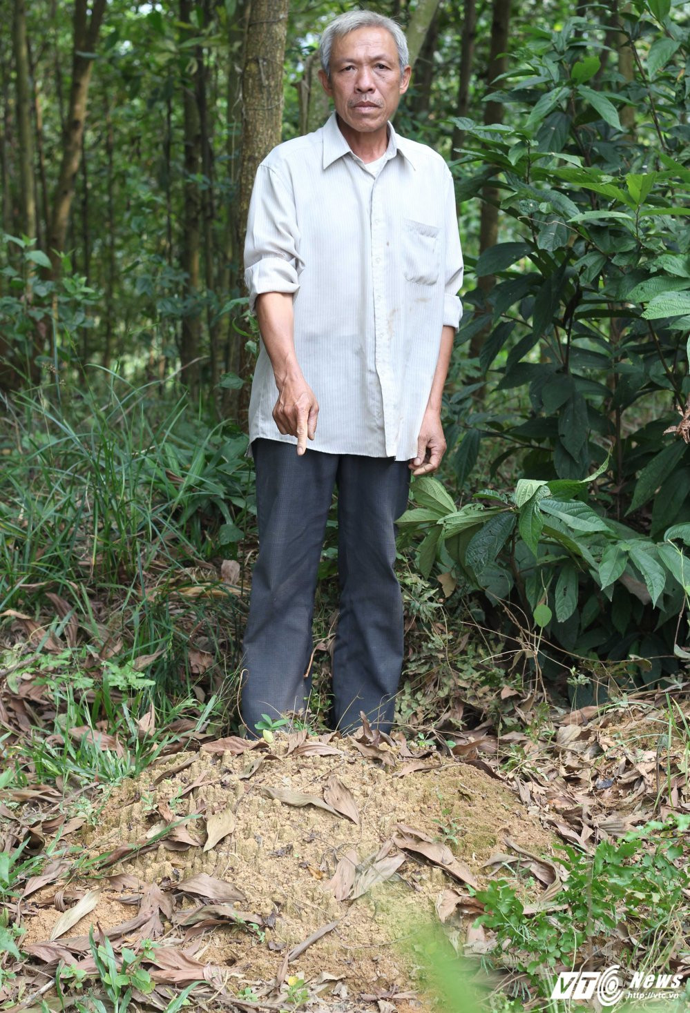 Hinh anh ‘Vo Tong’ diet ho khong lo, giai thoat cho ca tram kiep ma tranh o Thanh Hoa