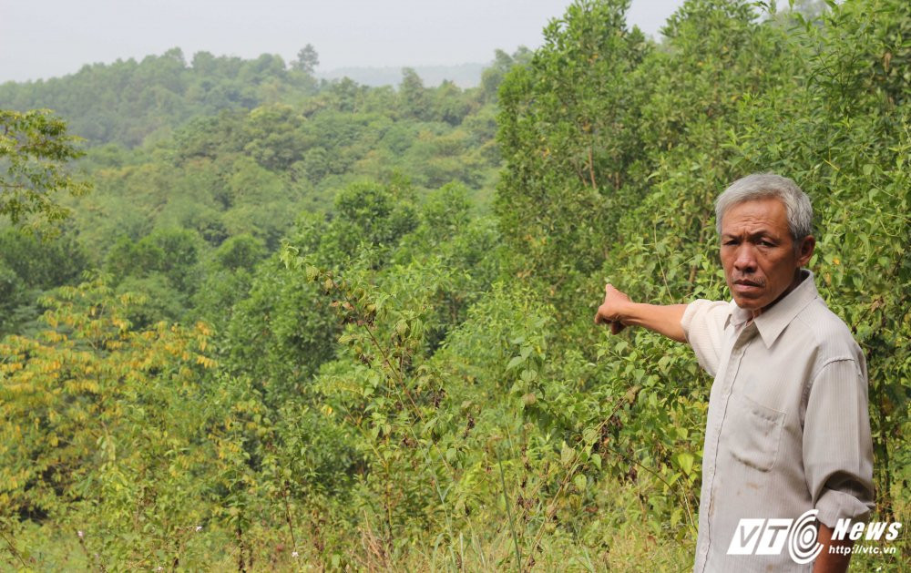 Hinh anh ‘Vo Tong’ diet ho khong lo, giai thoat cho ca tram kiep ma tranh o Thanh Hoa 4