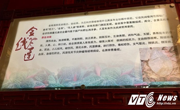 Hinh anh Giai ma su that ve co kim cuong - thu co dat nhu vang rong 4