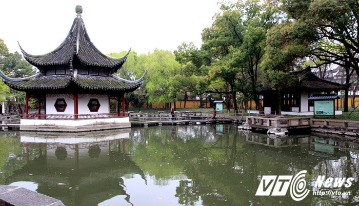 Hinh anh Ngo ngang hai con ‘rua Ho Guom’ khong lo o Tay Vien Tu