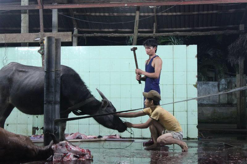 19554876_1394853770608120_6961154944428645496_n 4