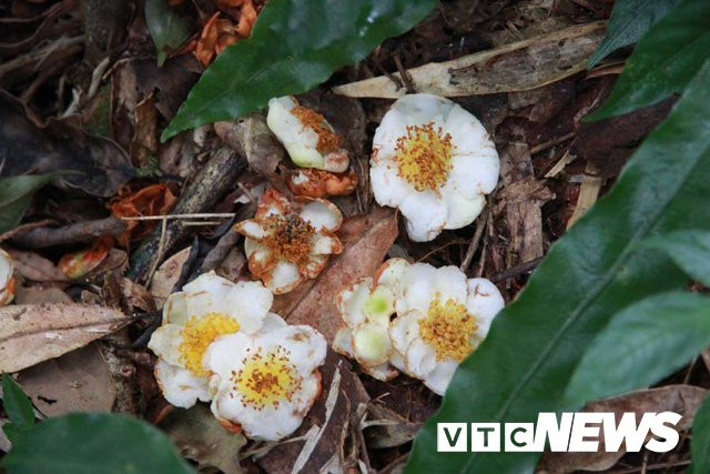 photo-2-1510466298123 3