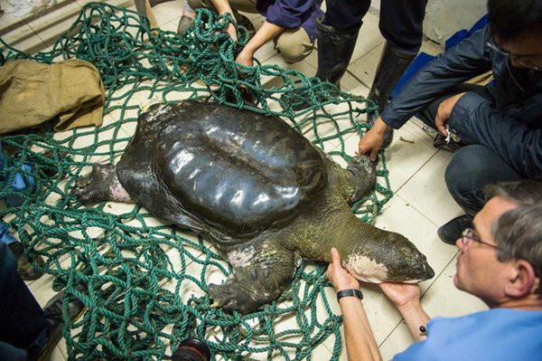 0000-1495808053669 3