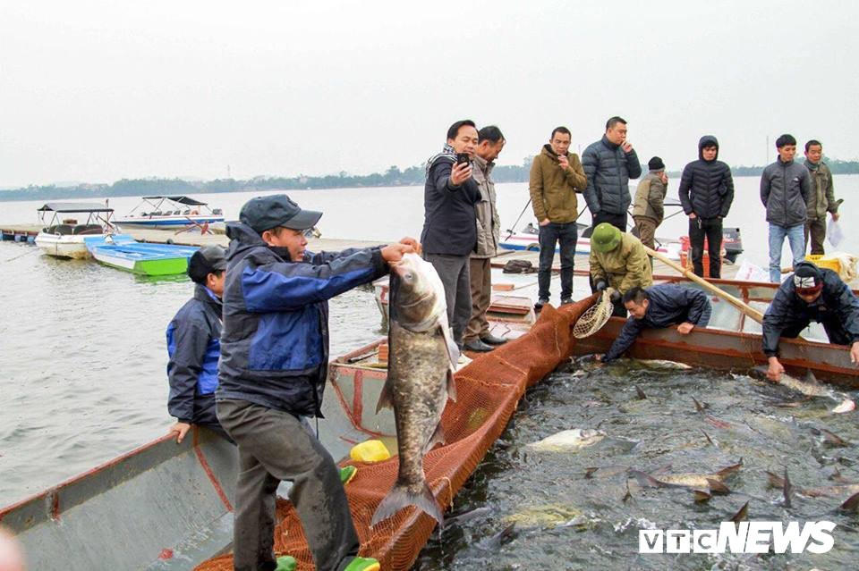 27654519_954151531419037_3082880260120454430_n 9