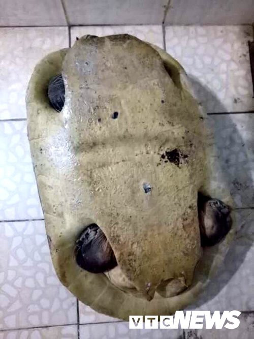 29746024_1655235831236578_1115409437_n 10