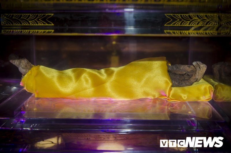 Canh-tay-bat-hoai-tai-Ha-Tinh (3) 3