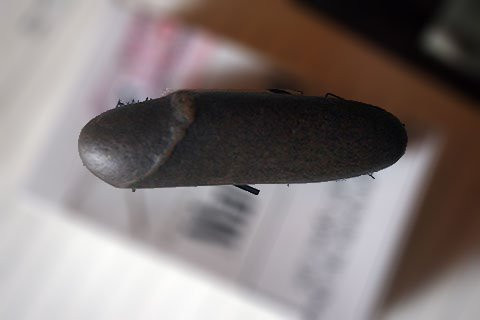 Su-that-ve-linh-vat-huyen-bi-bac-nhat-dat-Tay-Bac-13_canct8450-1527503772-width480height320