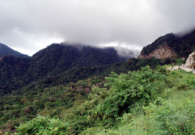 d8d4c380f313f226dcfb77c1def902b6