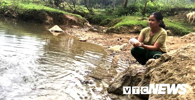 suoi-ca-ban-buot (8) 3