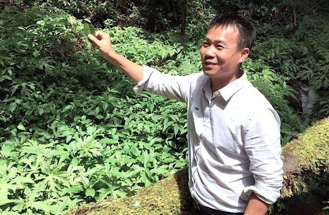 Lam-giau-khac-nguoi-uom-14-28-55_nh_2-1543219383-width665height436 5