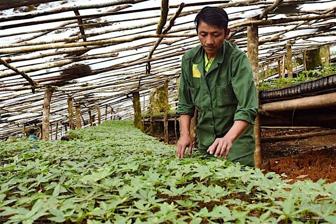 Lam-giau-khac-nguoi-uom-14-28-55_nh_4-1543219292-width665height443