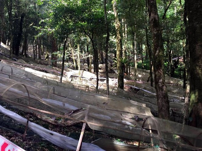 Lam-giau-khac-nguoi-uom-14-28-55_nh_5-1543219344-width665height498 3