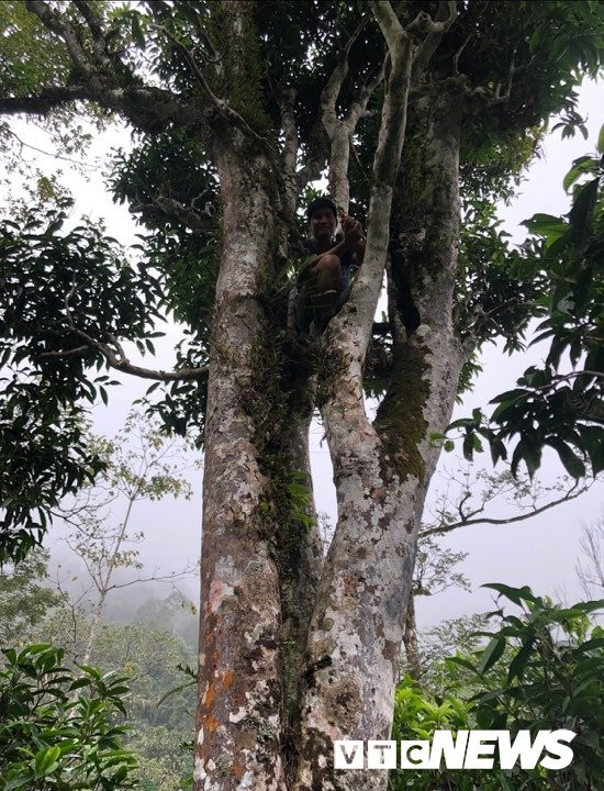 67849344_432459937480957_7755111181517324288_n 4