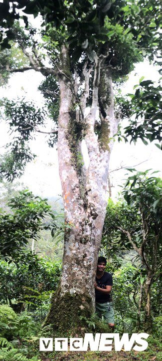 68750256_489116451656091_3766821584292020224_n 5