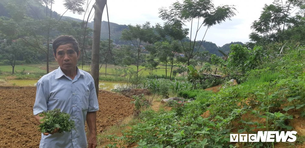 67829545_1331435280357321_755496318008295424_n 6