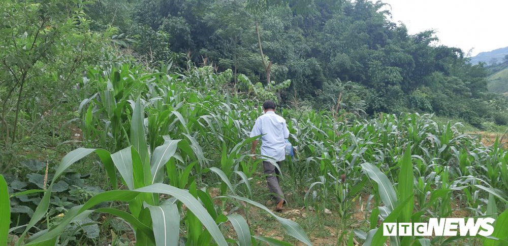 67967857_2345741545685529_2741859486284120064_n