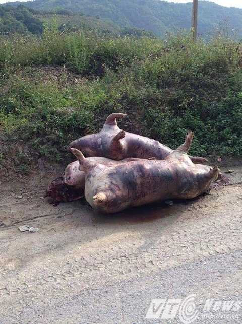 13419165_1103756746362067_7518942071271067044_n_GF