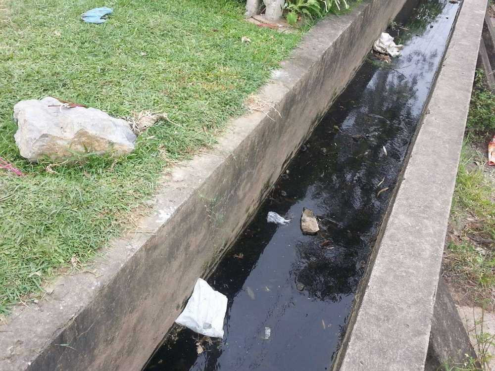 13461147_1725886641016734_1584411784_o