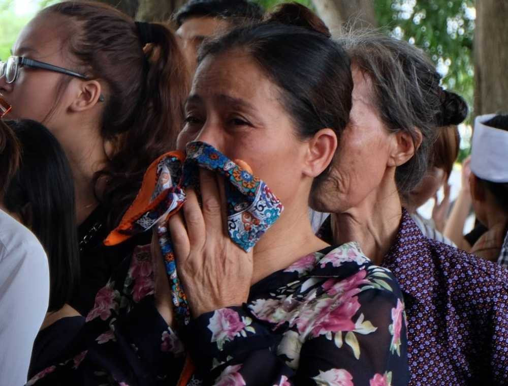 13570245_796524283815405_243281819_o