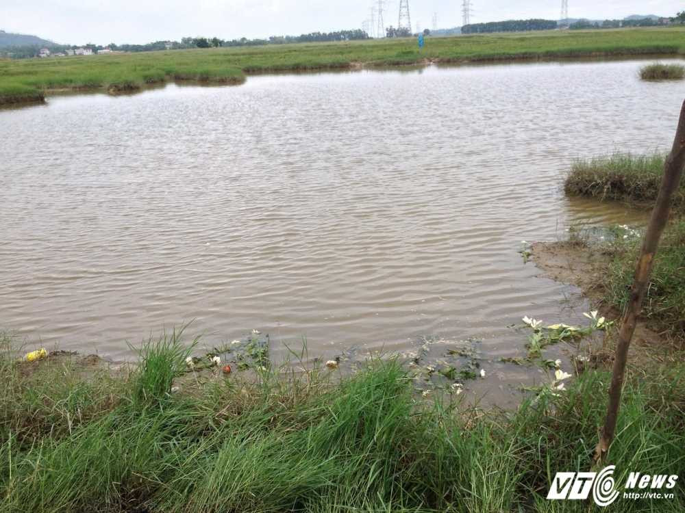 13575872_1785073161723835_5102670561906232421_o (1)