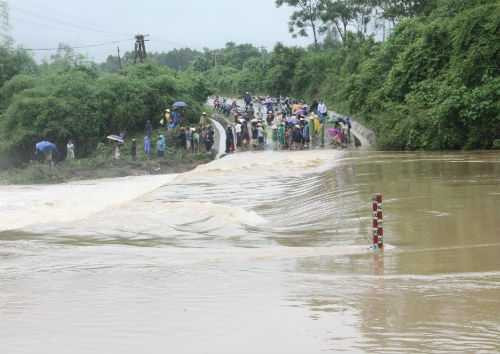 22141280-20130920173042-anh-1--bai-cuu-ho