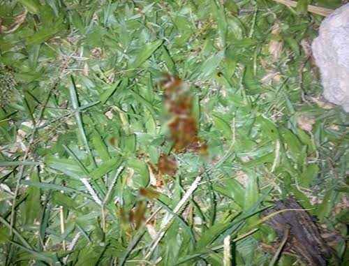 11111111111111111111111