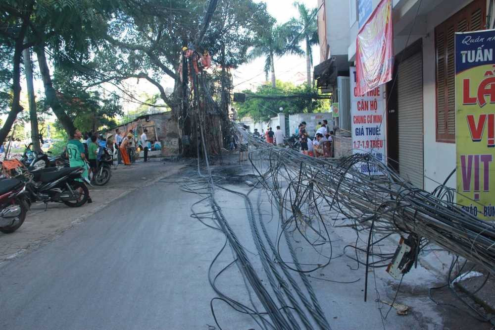 13692309_576994422470733_1391745165_o