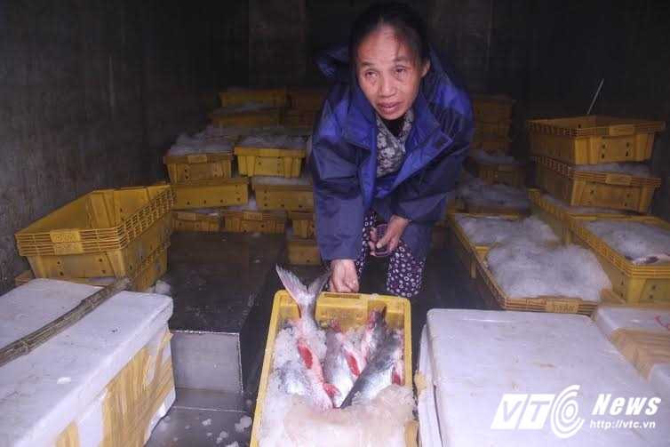 707608c2-93be-431d-b796-6297e8a68f4c