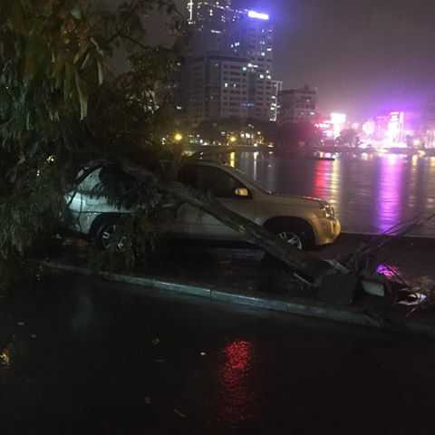 14034855_1726272470956090_1372253643079170500_n