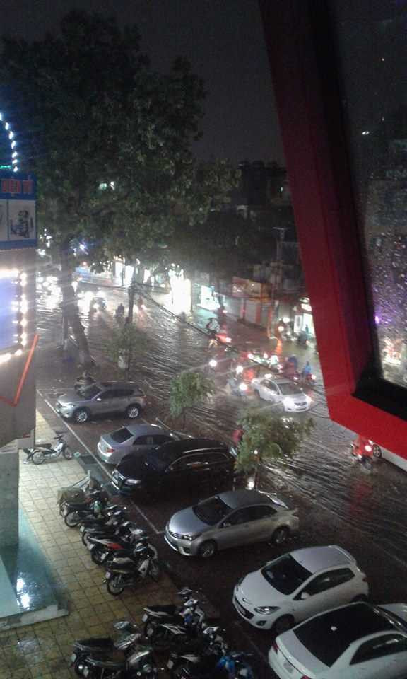 14067612_501592860035740_2275858265793000174_n