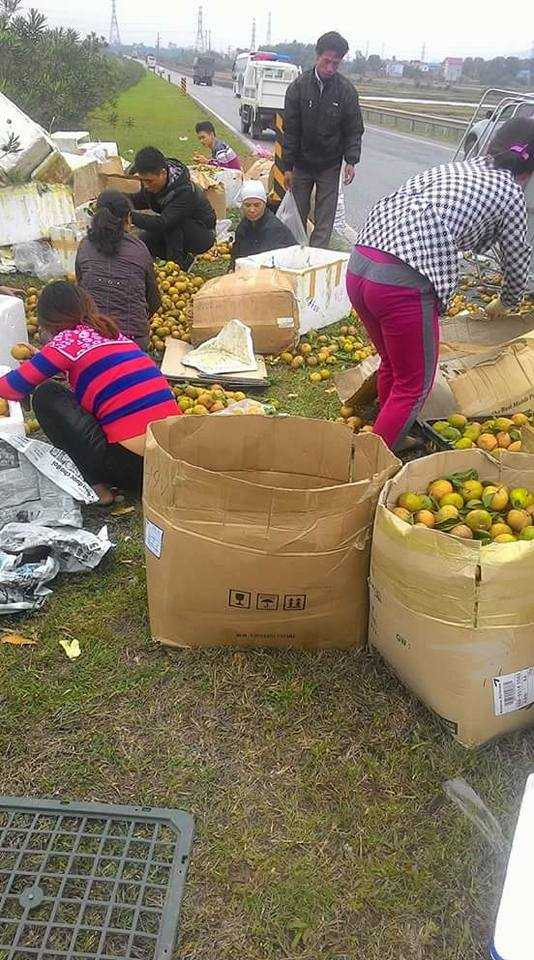 15317784-1811325312485144-7347347958873321055-n-1480670282405