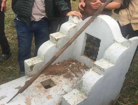 mo-bi-dong-dinh_wbqw