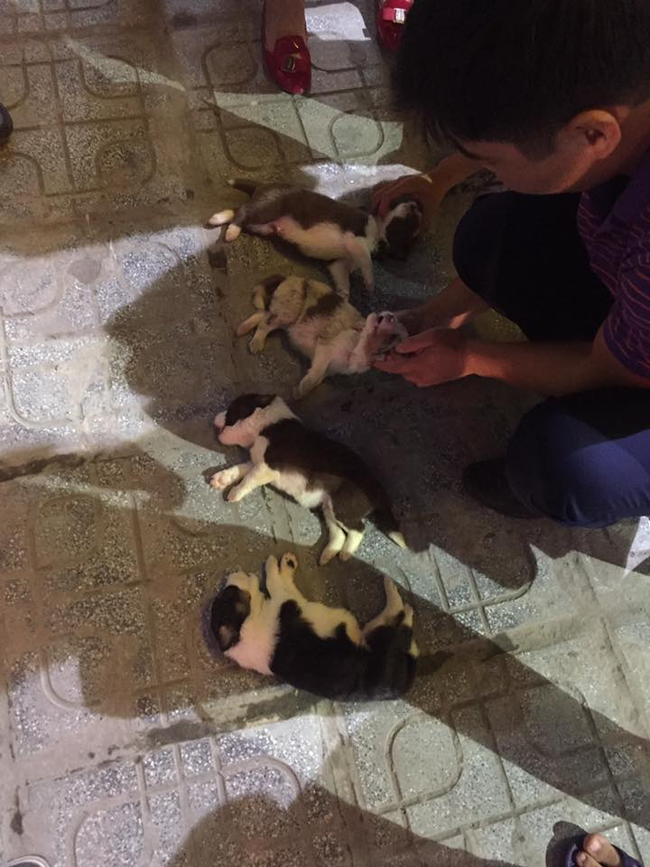 photo-1-1490412232288