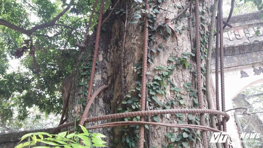 17797141_1300199506753873_1678916113_o